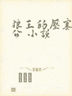 狼王的压寨小相公 小说