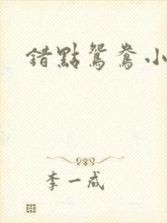 错点鸳鸯小说
