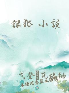 银狐 小说