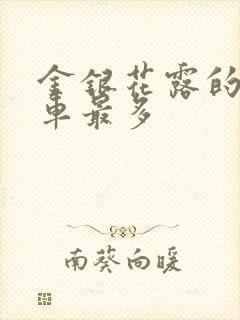 金银花露的哪个车最多