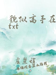 貌似高手在异界txt