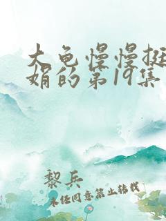 大龟慢慢挺进张娟的第19集