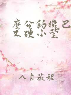 么公的机巴又粗又硬小莹