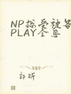 NP总受被各种PLAY全息