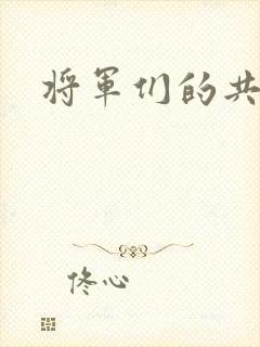 将军们的共妻H