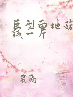 巨型白地菇多少钱一斤