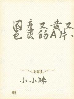 国产又黄又大又色爽的A片小说