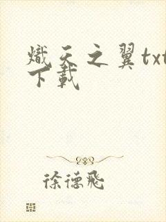 炽天之翼txt下载