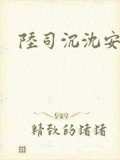 陆司沉沈安