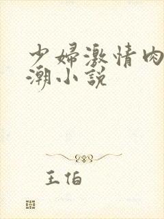 少妇激情肉欲高潮小说