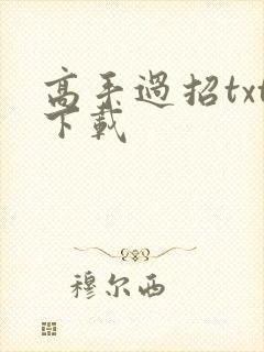 高手过招txt下载