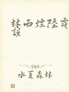 林雨烟陆霆琛小说