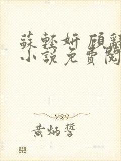 苏轻妍 顾辞笙小说免费阅读