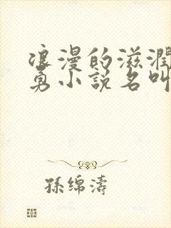 浪漫的滋润刘大勇小说名叫什么?