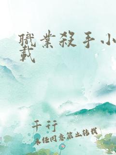 职业杀手小说下载