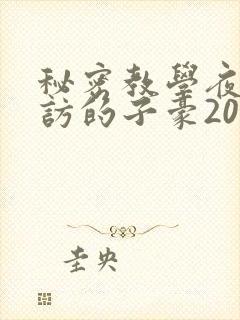 秘密教学夜晚到访的子豪20话