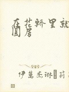 在花轿里就开始圆房