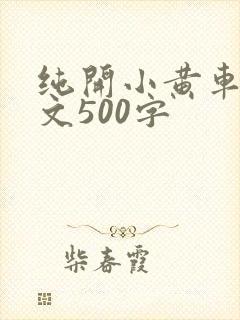 纯开小黄车小短文500字