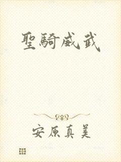 圣骑威武