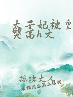 太子妃被皇上c哭高h文