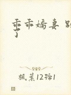 乖乖娇妻 别闹了