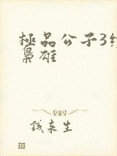 极品公子3续世枭雄