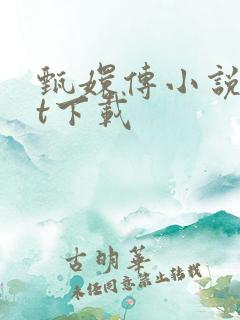 甄嬛传小说txt下载