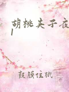 胡桃夹子夜未眠1