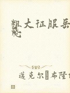 粗大征服岳女双飞