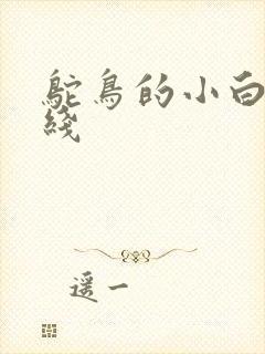 鸵鸟的小白脸路线