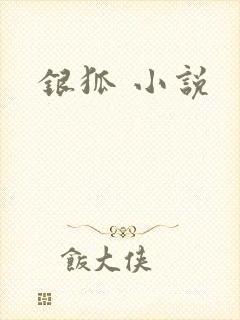 银狐 小说