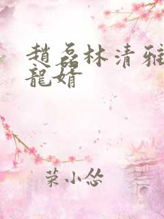 赵磊林清雅上门龙婿