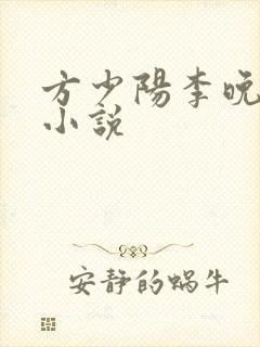 方少阳李晚晴的小说
