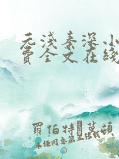 元浅秦深小说免费全文在线