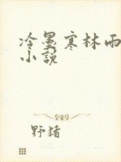 冷墨寒林雨彤的小说