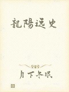 龙阳逸史