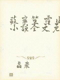 苏宁笙 霍止行小说全文免费阅读