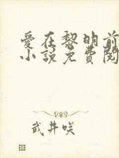 爱在黎明前降落小说免费阅读