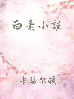 白素小说