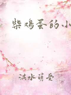 柴鸡蛋的小说
