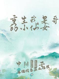 重生我是哥哥们的小仙女