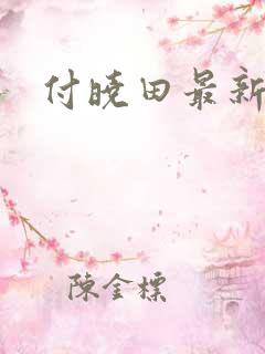 付晓田最新消息