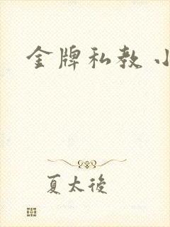 金牌私教 小说