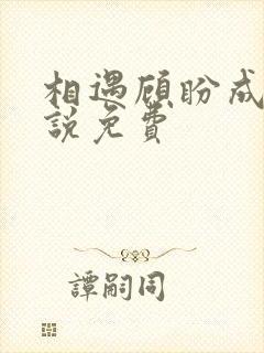 相遇顾盼成欢小说免费