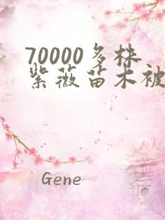 70000多株紫薇苗木被强毁