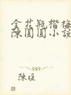 金花瓶楷梅花2陈圆圆小说
