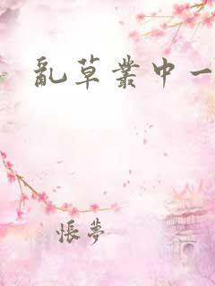 乱草丛中一杆枪