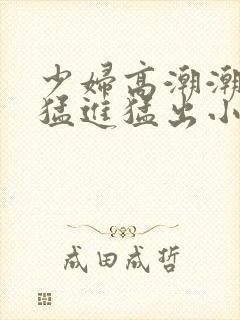 少妇高潮潮喷到猛进猛出小说