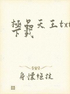 极品天王txt下载