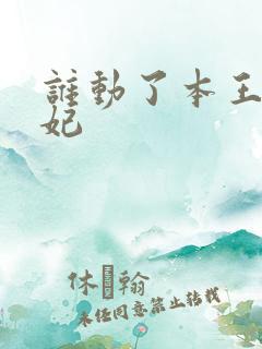 谁动了本王的悍妃